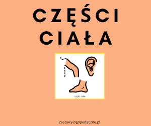 CZĘŚCI CIAŁA  - symbole PCS